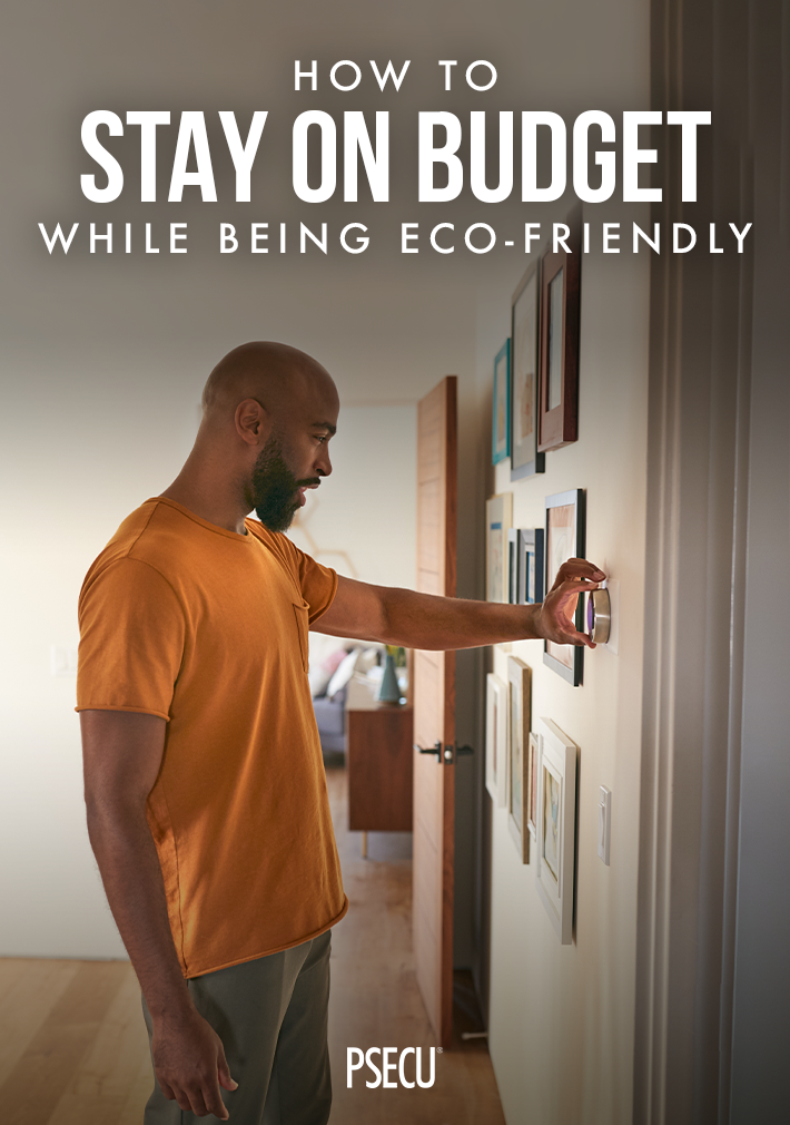 how-to-stay-on-budget-while-being-eco-friendly