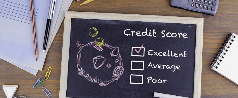 What’s in a Credit Score?